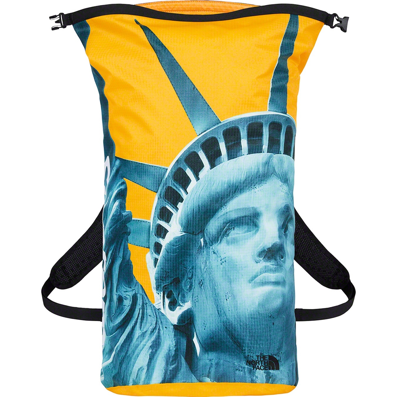 Supreme®/The North Face® Statue of Liberty Waterproof Backpack view 6